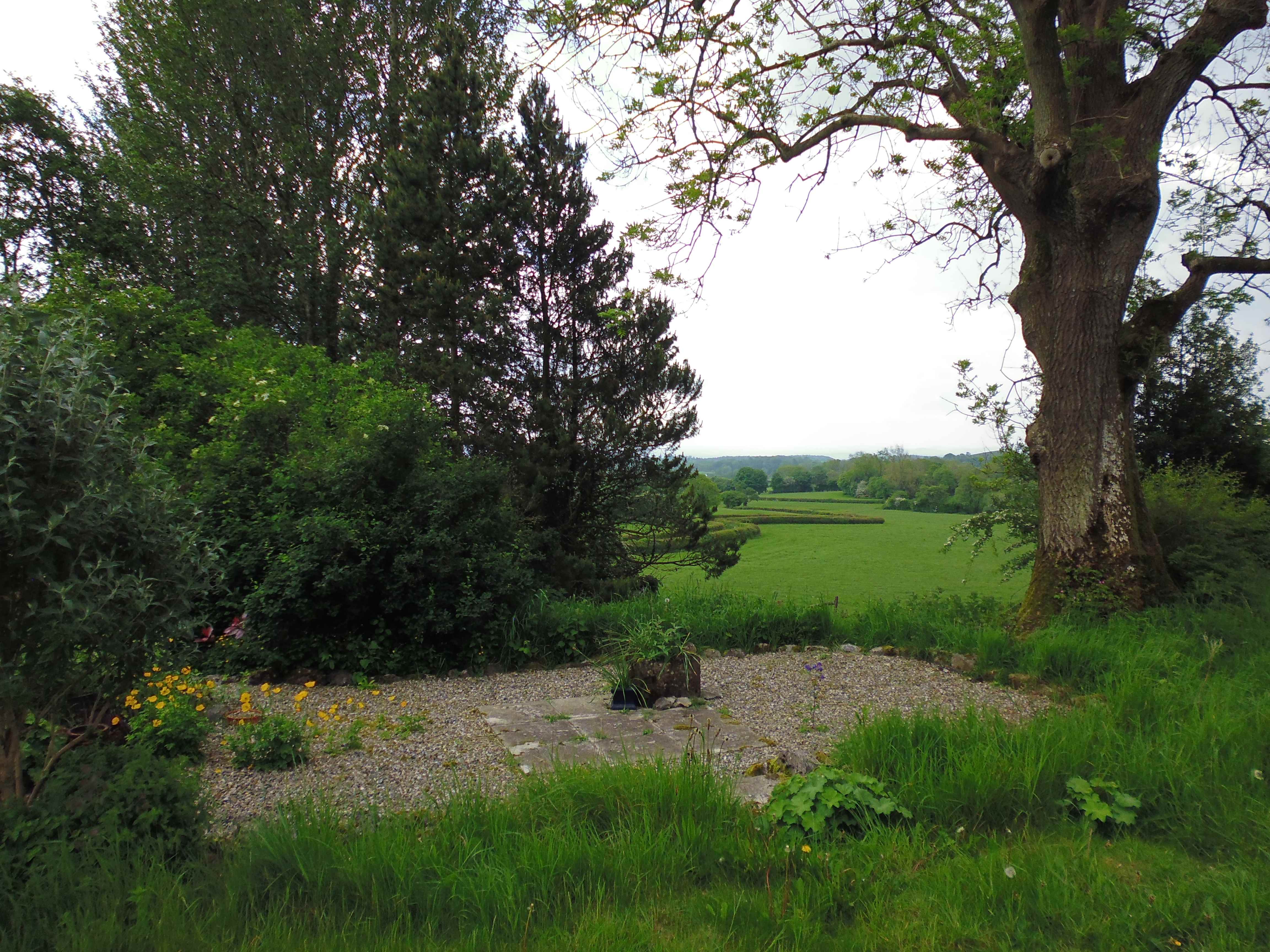 smaller-newlandpic263