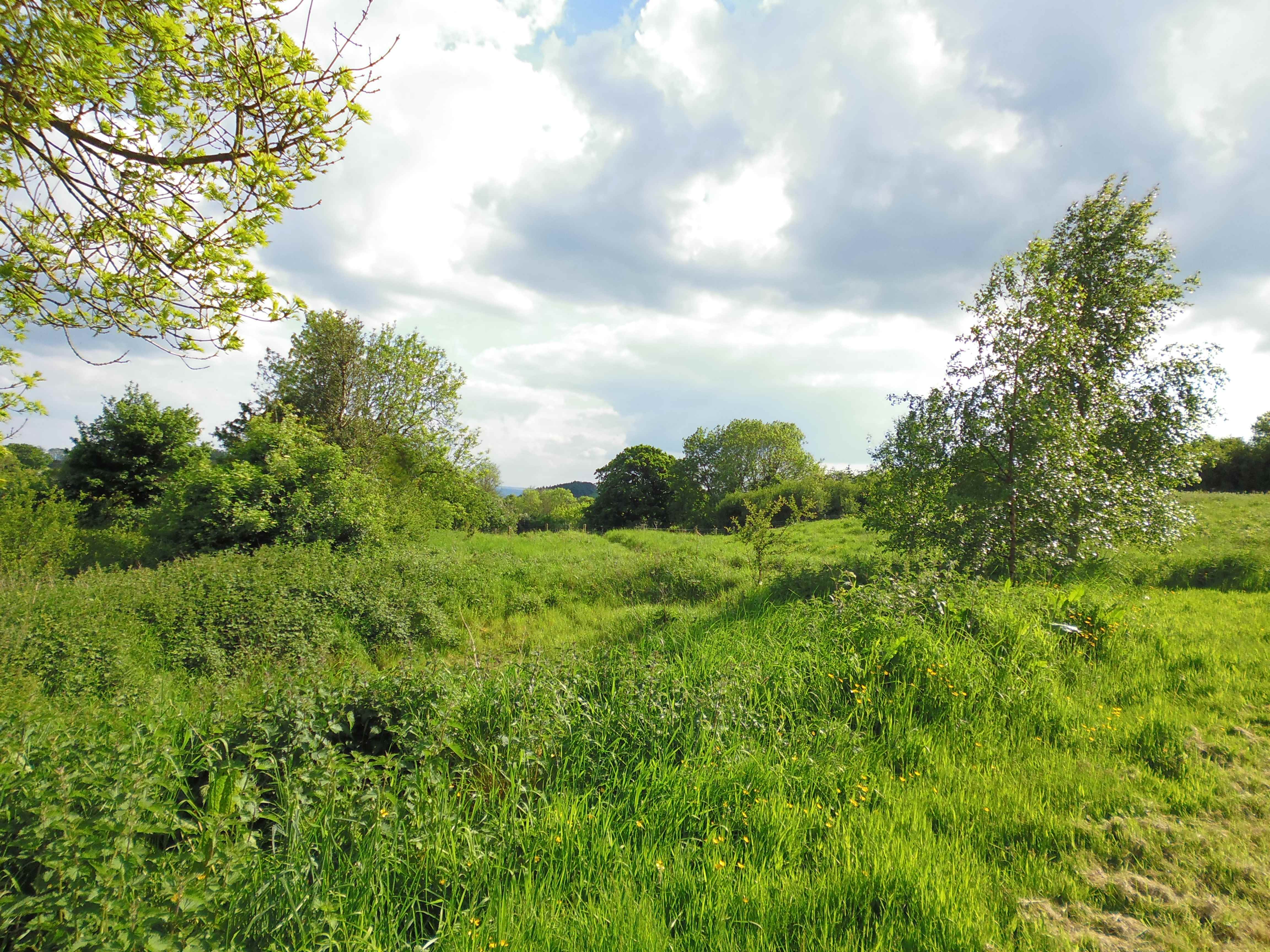 smaller-newlandpic270