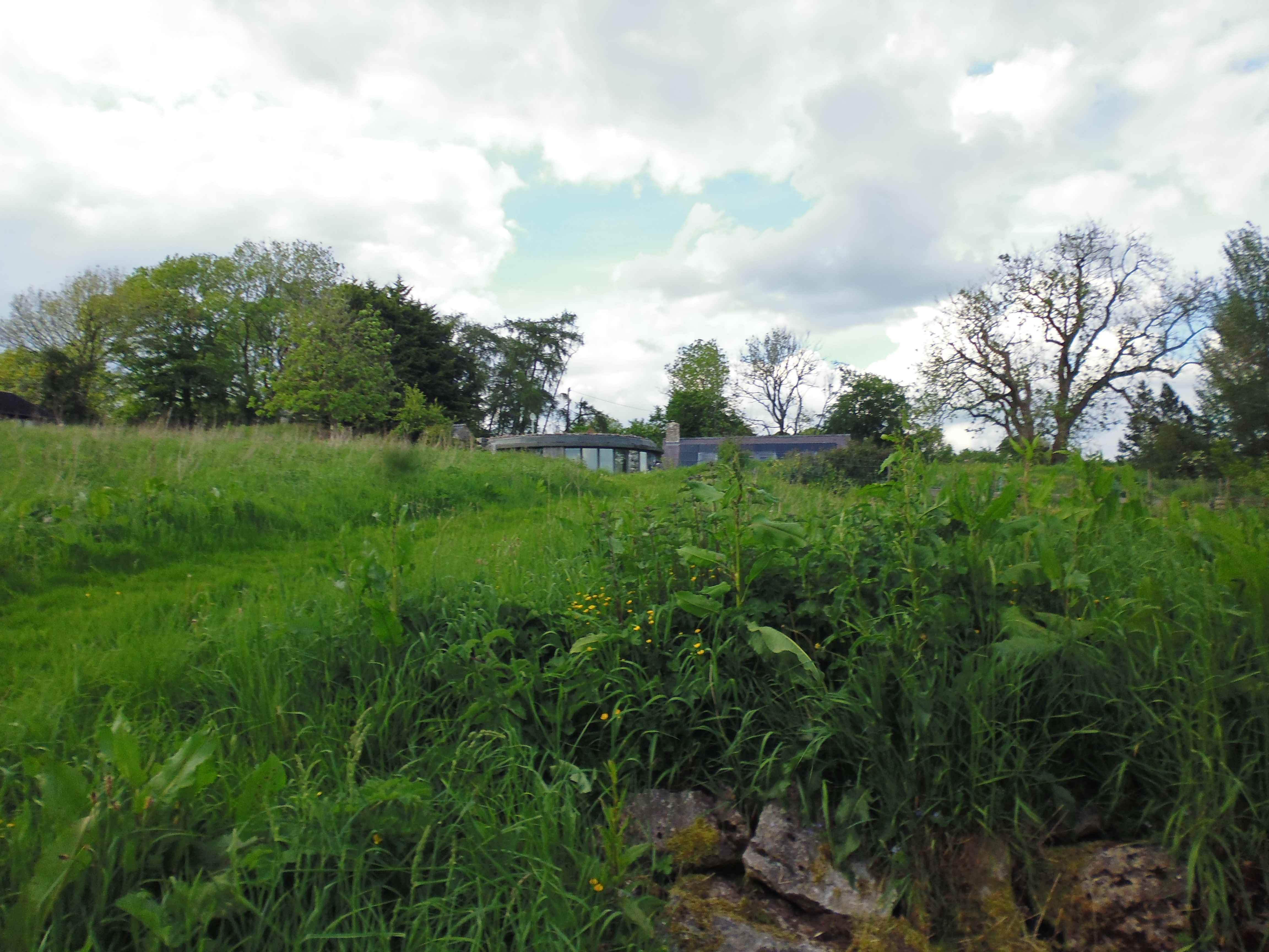 smaller-newlandpic274