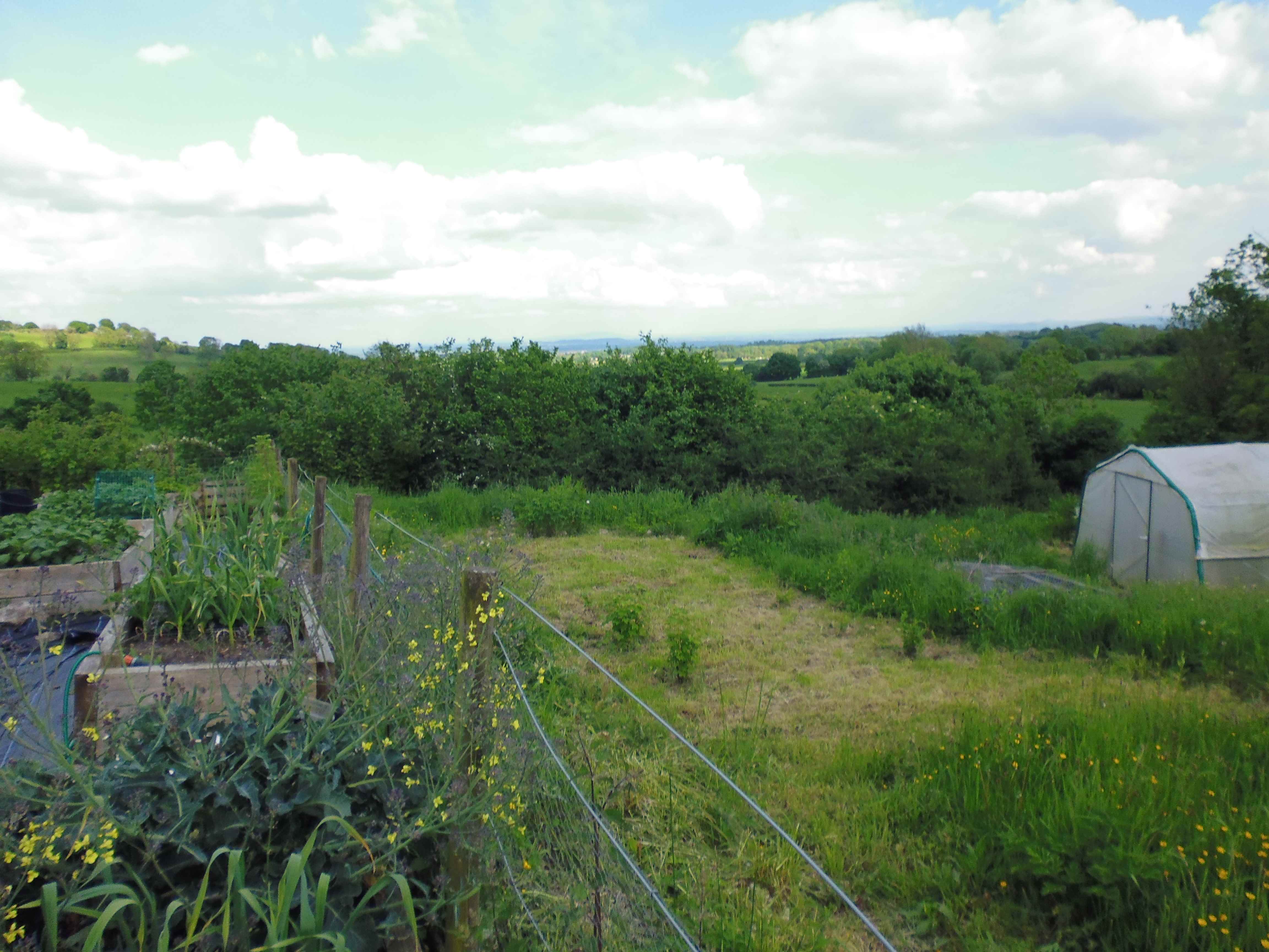 smaller-newlandpic279