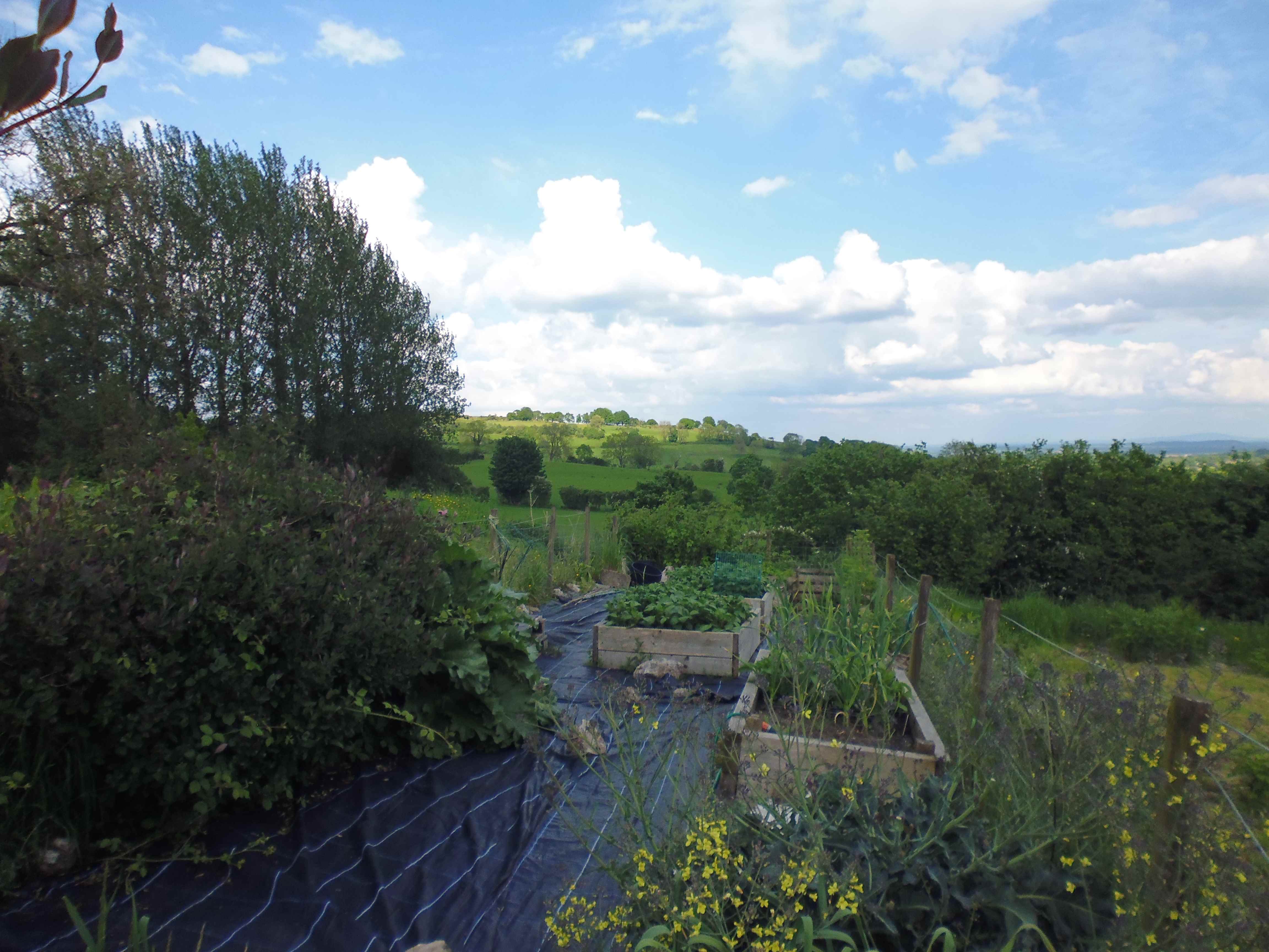 smaller-newlandpic280